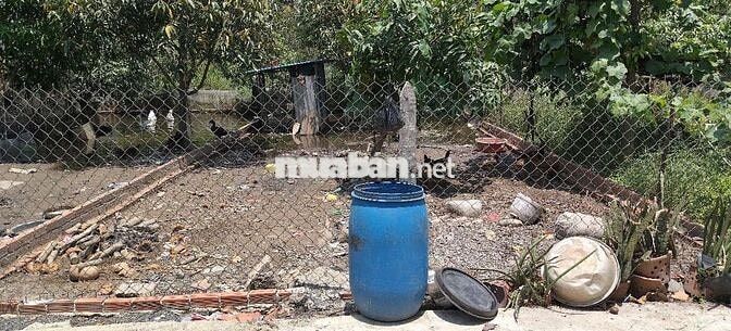 BÁN ĐÁT HÓC MÔN - Ô TÔ ĐẬU CỬA - DT KHỦNG - GIÁ CỰC RẺ 