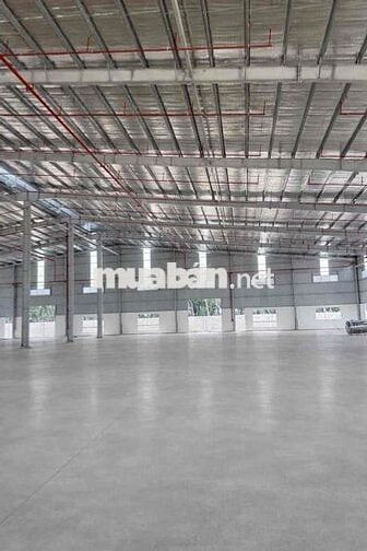 NHÀ XƯỞNG 2,5 USD CHO THUÊ TẠI LONG NGUYÊN - TP. HCM ( BÀU BÀNG  cũ )