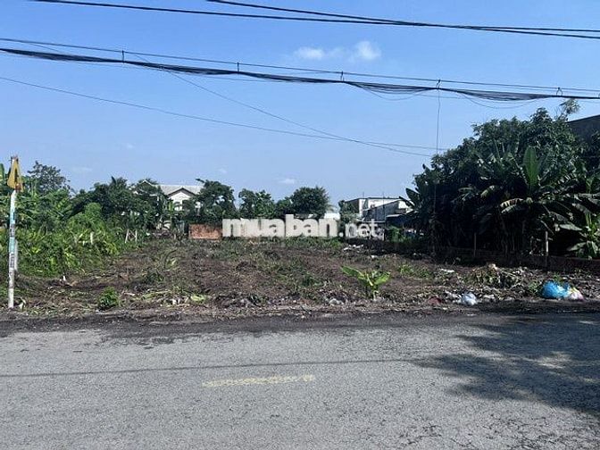 Bán đất mặt tiền đường Xuân Thới Sơn 12 gần sát vinhome Hóc Môn