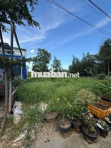 🏡 BÁN ĐẤT TÂN TRIỀU – SÁT KDC LAVENDER CITY