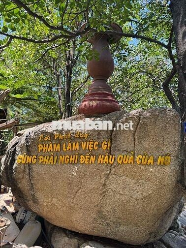 cho thuê mặt bằng MT phạm Hữu Lầu  13x25 giá 18 tr