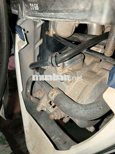 Suzuki Axelo Xanh trắng Côn tay