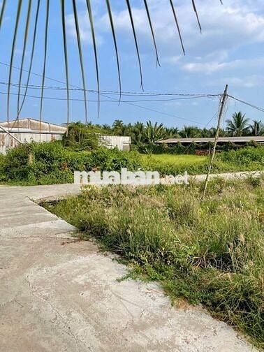 Do gia đình tôi cần tiền gấp bán nền đất mới ra sổ f0 85m2