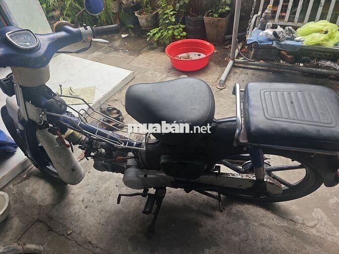 Honda Cup 50cc Xanh