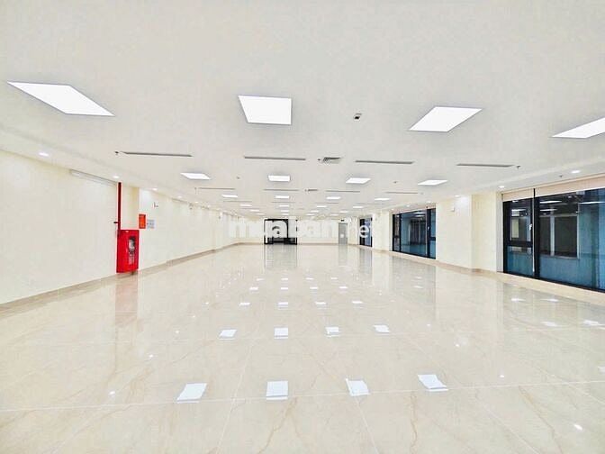 Cho thuê VP cao cấp Thanh Xuân 240m2 thông sàn, chuyên nghiệp hiện đại