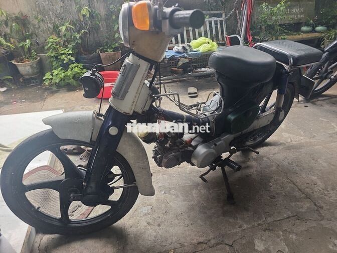 Honda Cup 50cc Xanh