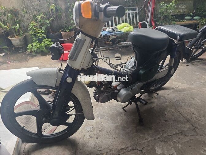 Honda Cup 50cc Xanh