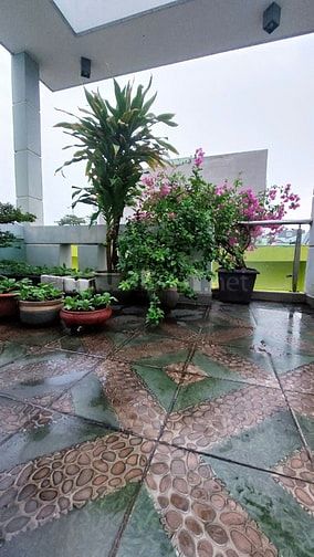 NHÀ BÁN VỊ TRÍ TUYỆT ĐẸP GÒ VấP