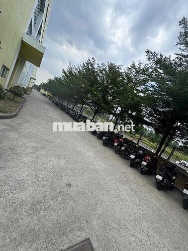 Tháng Đầu Miễn Phí Trọ - CTY Điện Tử KCN Bàu Bàng