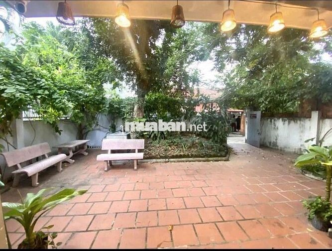 AG Cho thuê homestay sân vườn đẹp gần biển – Bắc Nha Trang 🌴🏡