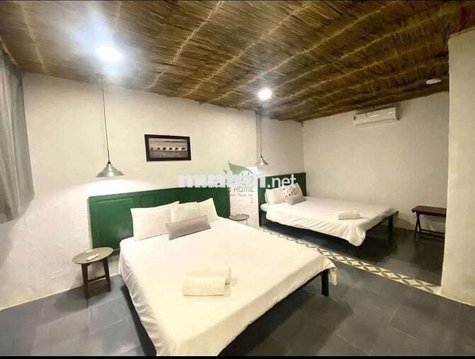 AG Cho thuê homestay sân vườn đẹp gần biển – Bắc Nha Trang 🌴🏡