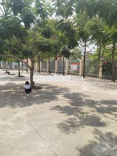 Chính chủ Bán Đất Đường Bê Tông 5m Gần Chợ Trường Học Full Thổ Cư