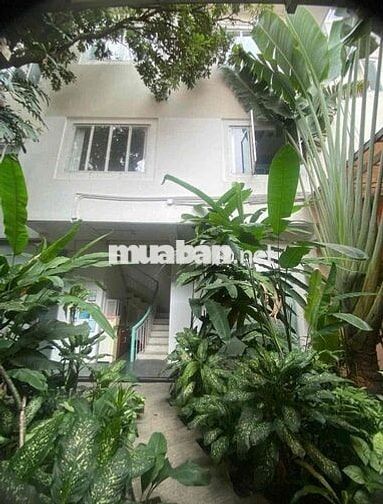 Ngang 12m - Villa Sân Vườn Phan Kế Bính - Quận 1
