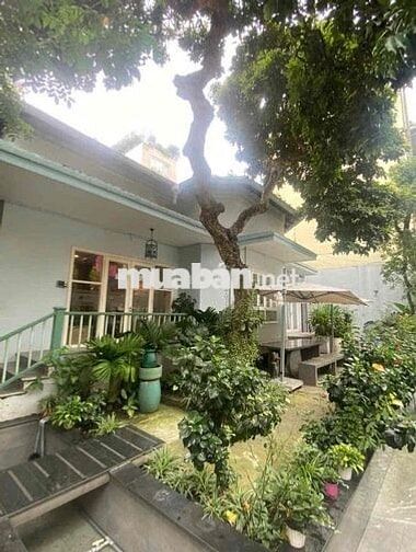 Ngang 12m - Villa Sân Vườn Phan Kế Bính - Quận 1