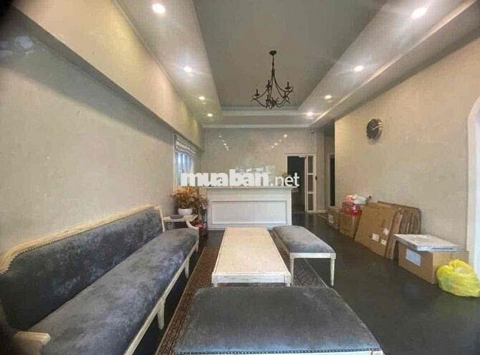 Ngang 12m - Villa Sân Vườn Phan Kế Bính - Quận 1