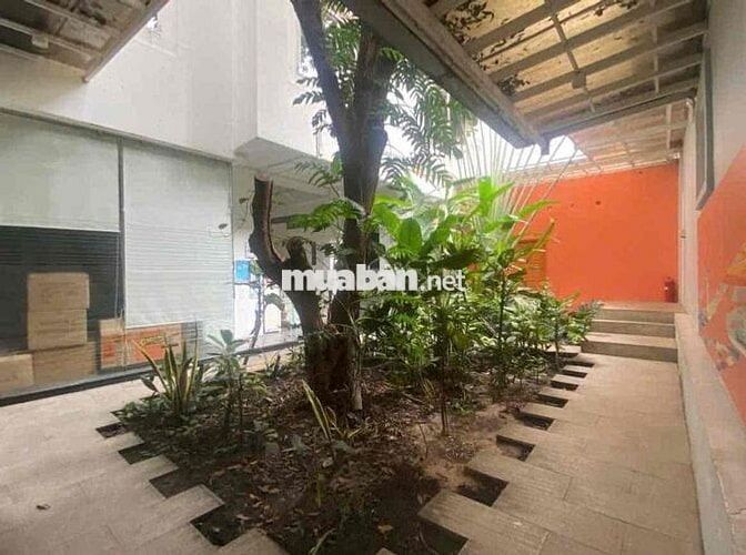 Ngang 12m - Villa Sân Vườn Phan Kế Bính - Quận 1