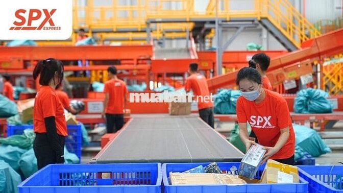 [PHÙ NINH] SPX TUYỂN NHANH 4 SHIPPER LƯƠNG CỰC CAO