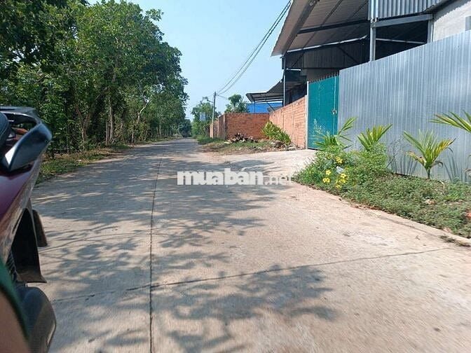 Chính chủ bán 10x30 tại Phường Tân Phú, ĐN