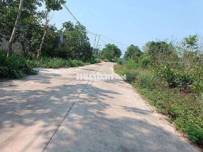 Chính chủ bán 10x30 tại Phường Tân Phú, ĐN