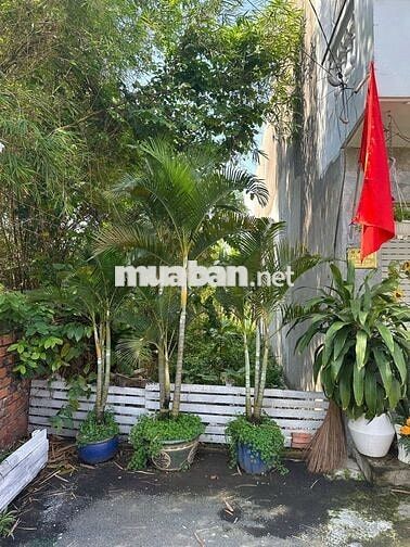 ĐẤT GIÁ NGON. TÔ NGỌC VÂN, GV - HXH TỚI ĐẤT - DT 57M2 CHỈ 3T3 TL 