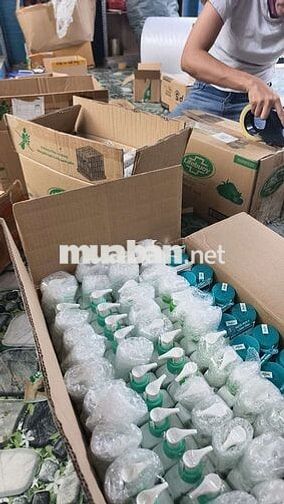 Tuyển nhân viên đóng gói hàng