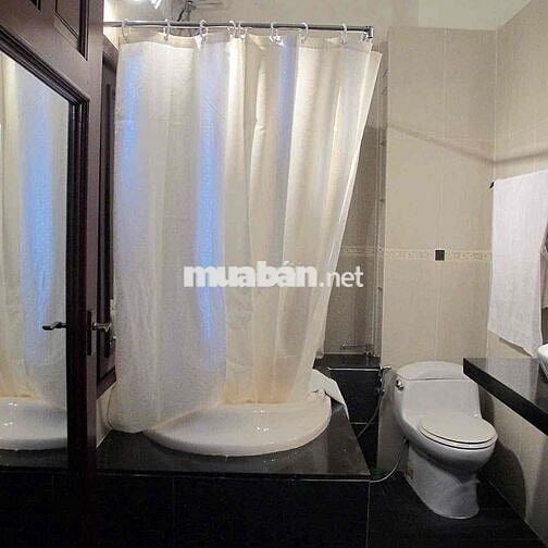 cho thuê nhà hẻm trung tâm quận 1 đường lý tự trọng