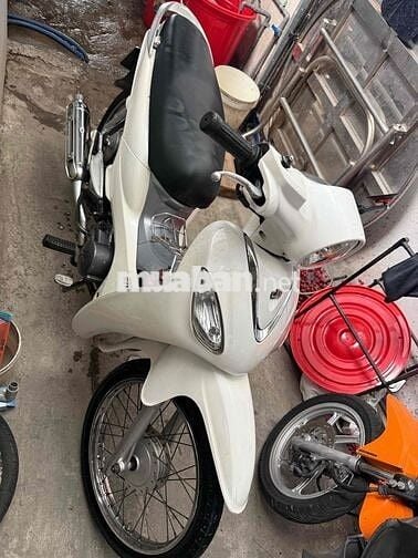SYM Angela 110 Trắng