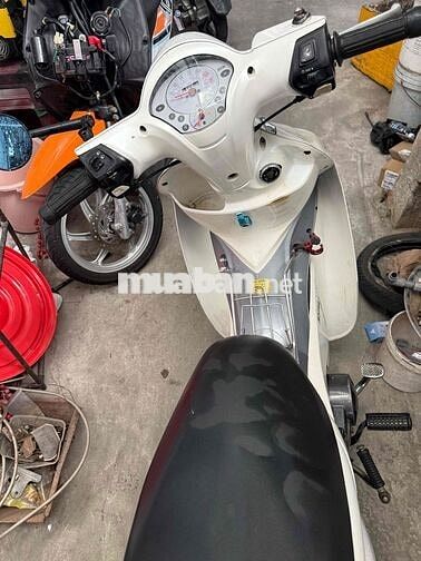 SYM Angela 110 Trắng