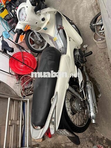 SYM Angela 110 Trắng