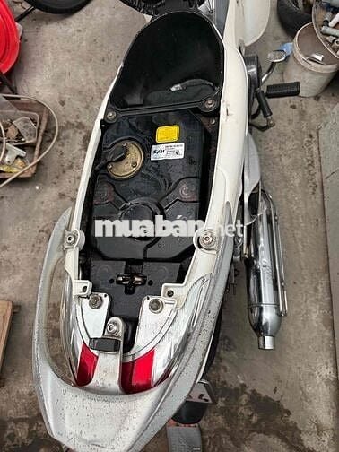 SYM Angela 110 Trắng