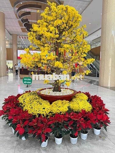 cho thuê nhà có thể làm  văn phòng