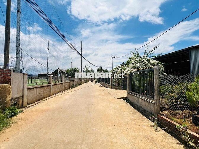 ĐẤT ĐẸP ĐỐI DIỆN SÂN BÓNG TẠI BÌNH THẠNH - ĐỨC TRỌNG - LÂM ĐỒNG