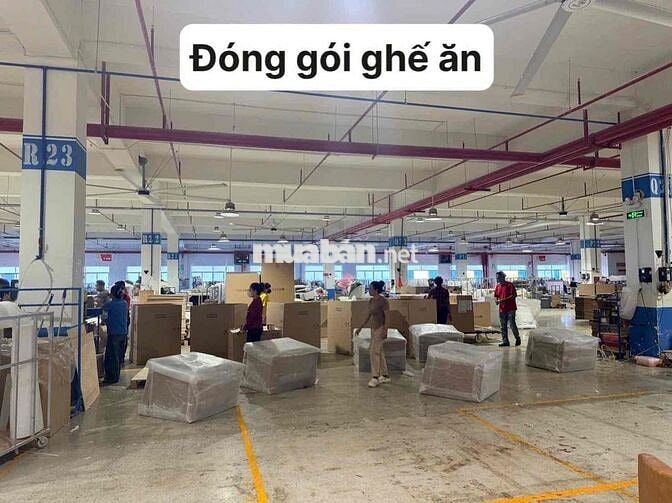 Cần tuyển lao động phổ thông nhiều vị trí