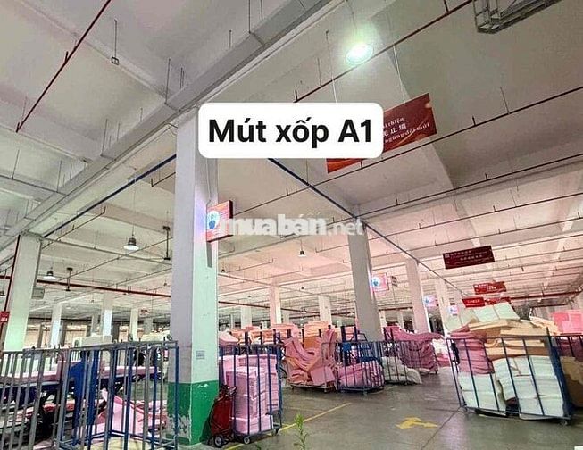 Cần tuyển lao động phổ thông nhiều vị trí