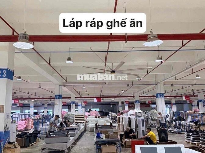 Cần tuyển lao động phổ thông nhiều vị trí