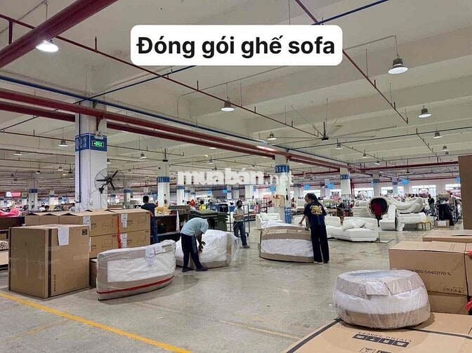 Cần tuyển lao động phổ thông nhiều vị trí