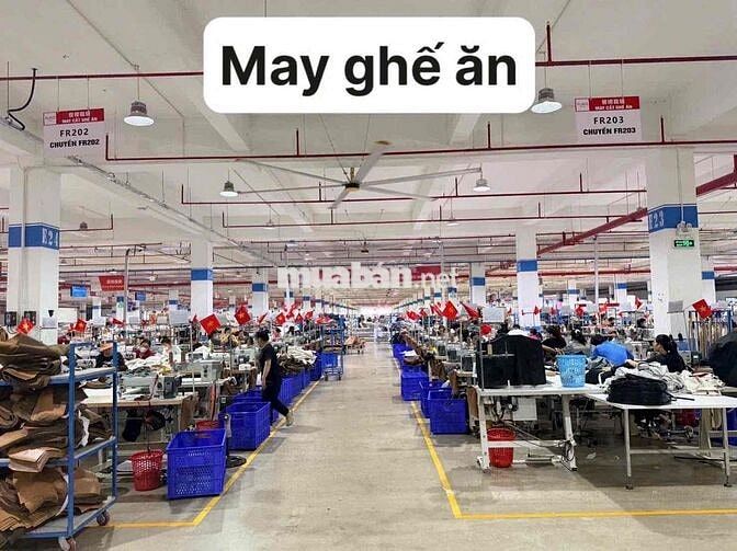 Cần tuyển lao động phổ thông nhiều vị trí