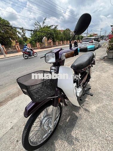 Hado Dream Tím trắng