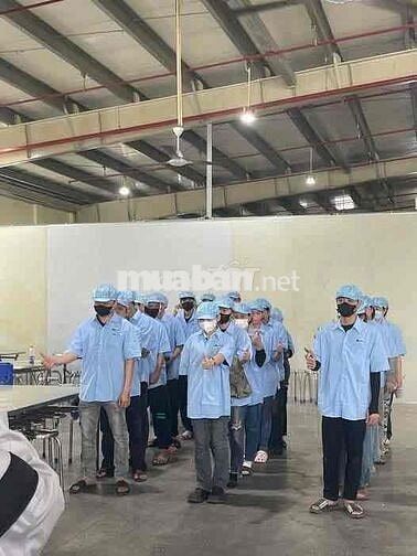 Công ty GENBYTE Thủ Đức