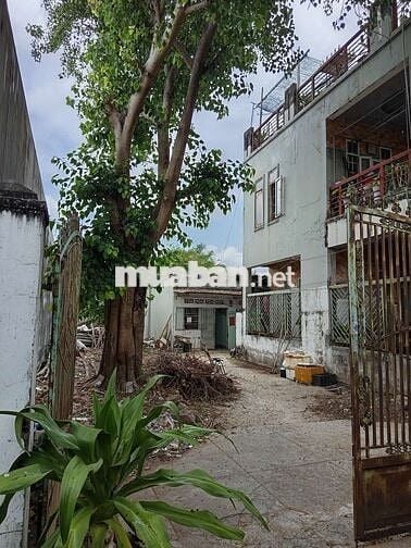 Bán gấp biệt thự hơn 500m thổ cư tại Võ Thị Sáu Long Điền.