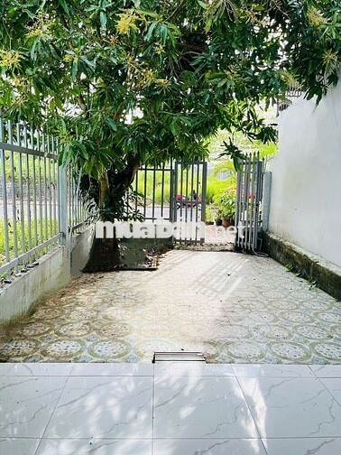 Cho thuê nhà Đường 14, khu Công trình 8, p Hưng Phú Cần Thơ giá rẻ 