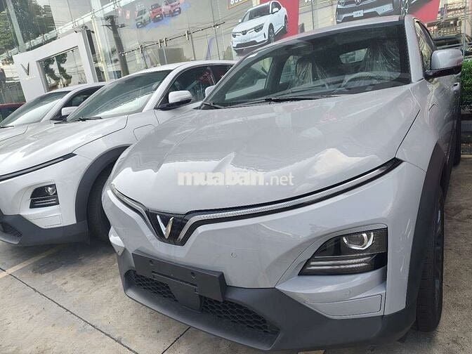 Xe điện VinFast VF6 Plus và vf6 eco