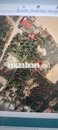 BÁN ĐẤT BIỂN XÃ TÂM TIẾN – QUỸ ĐẤT HIẾM CHO NHÀ ĐẦU TƯ