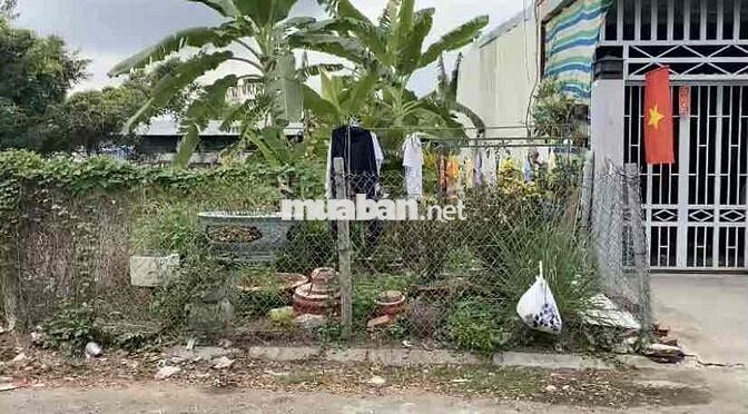 NỀN THỔ TRỤC CHÍNH BIỆT THỰ NGỌC VÂN