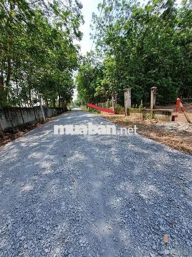 Tôi đi Úc bán lẹ lô đất 290m2 thổ cư (8m x32m),Nhuận Đức, Củ Chi