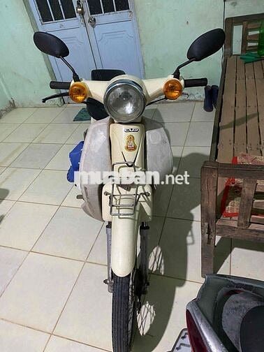 Honda Cup 50cc Trắng kem
