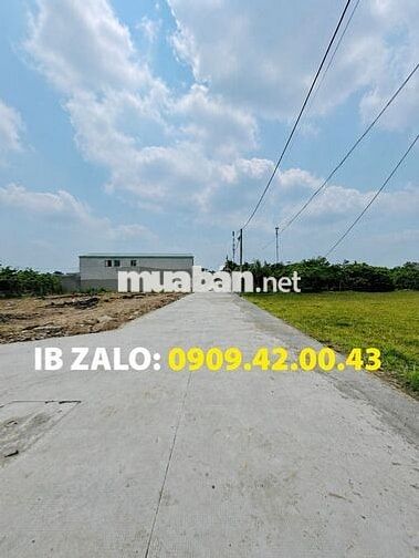 🔥 ĐẤT THỔ CƯ ĐẸP – 1/ ĐƯỜNG NHỰA TRƯƠNG THỊ NHƯ, HÓC MÔN 🔥