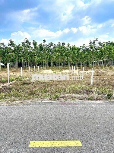 ĐẤT TP.HCM 848m2 - 820tr Sẵn 100m2TC Ngay KCN 1000HA, Ngay Chợ An Linh