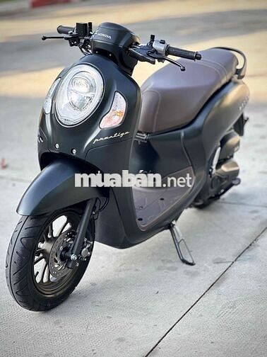 Honda Scoopy 110 2024 Cao Cấp Đen