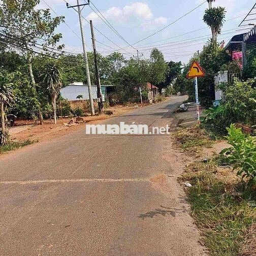 Bán Đất Vườn 1200m2 Có Thổ Cư, Sổ Riêng, Có Cây Ăn Trái Sẵn